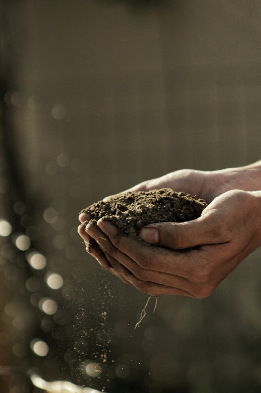 Sustainable agricultural practices at Agriworks